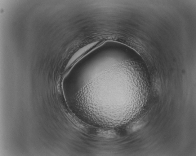 X0000066980185200603311533