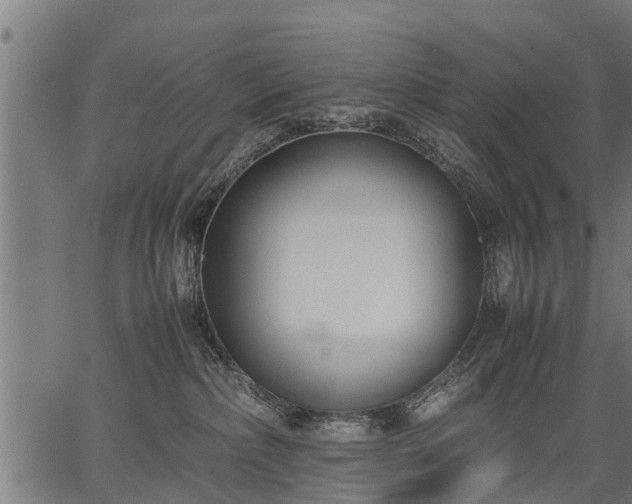 X0000066980236200603311532