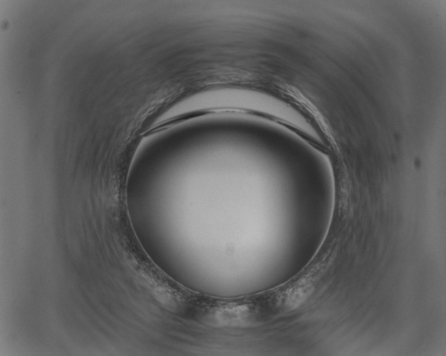 X0000066980257200603311531
