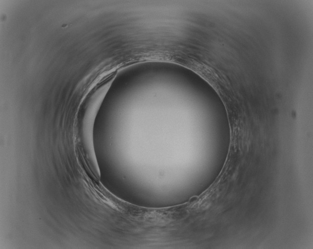 X0000066980290200603311531