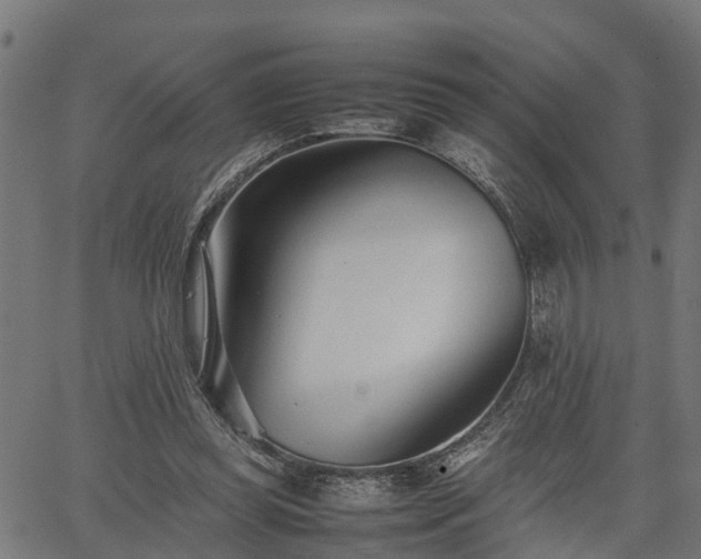 X0000066980349200603311530