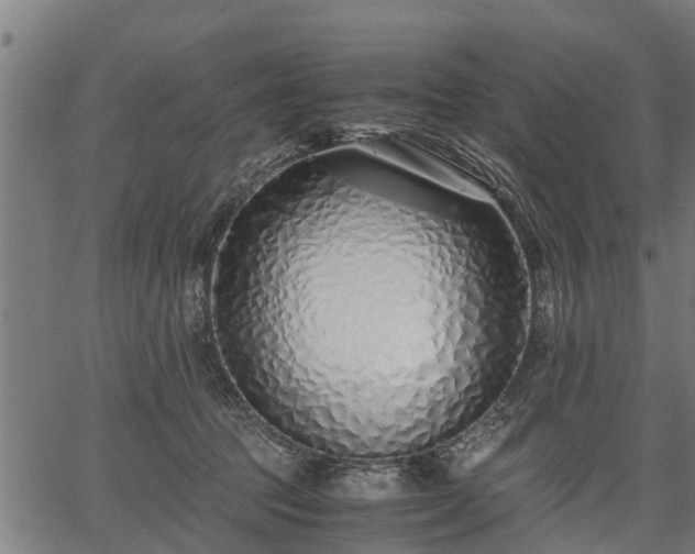 X0000066980369200603311530