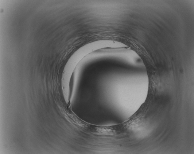X0000066980380200603311530