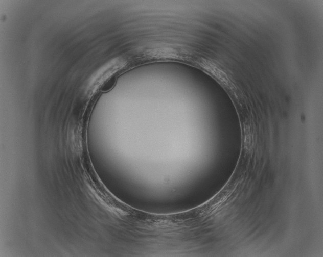 X0000066980390200603311529