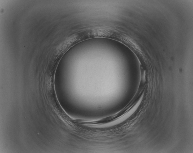 X0000066980401200603311529