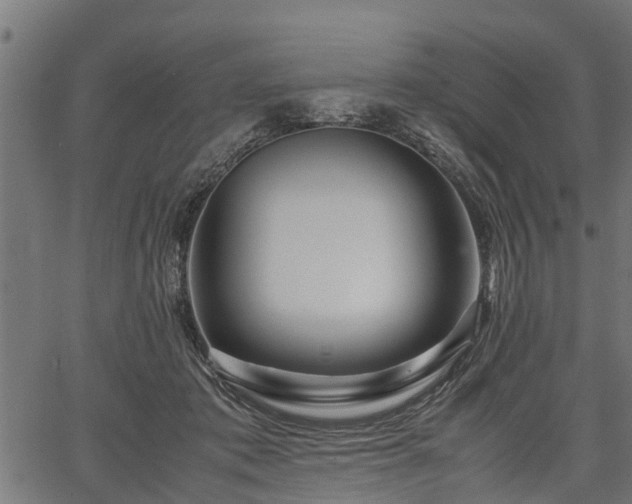 X0000066980413200603311529