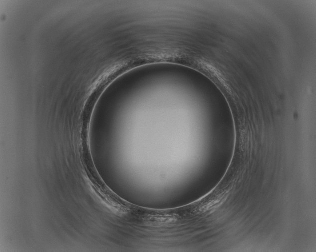 X0000066980443200603311528