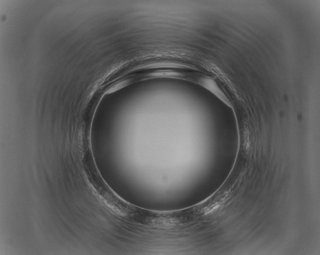 X0000066980444200603311528