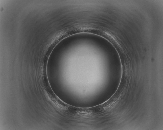 X0000066980447200603311528