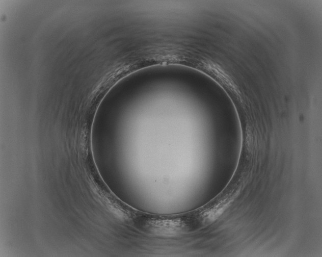X0000066980449200603311528
