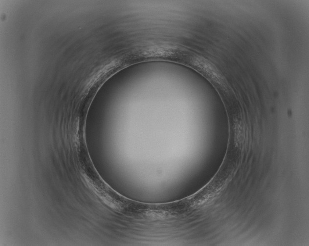 X0000066980490200603311528