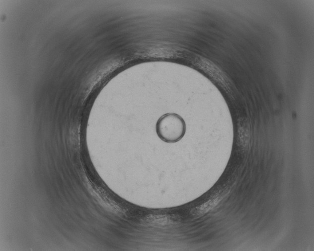 X0000066980534200603311527