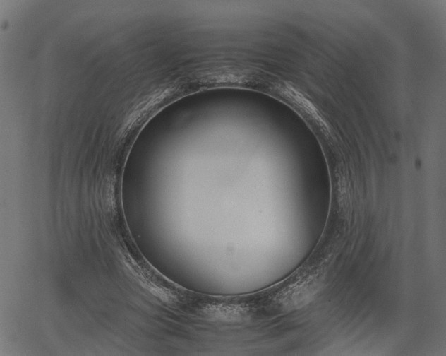 X0000066980537200603311527