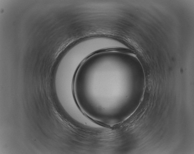 X0000066980544200603311527