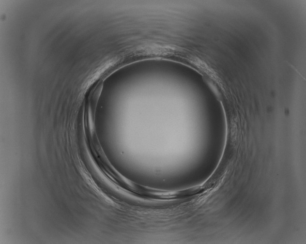 X0000066980581200603311526