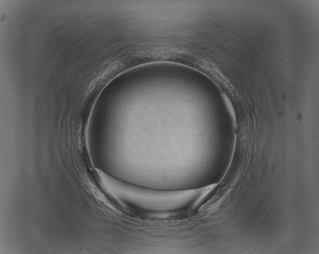 X0000066980585200603311526