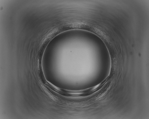 X0000066980589200603311526