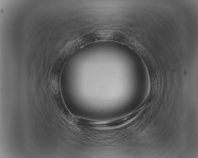 X0000066980609200603311526