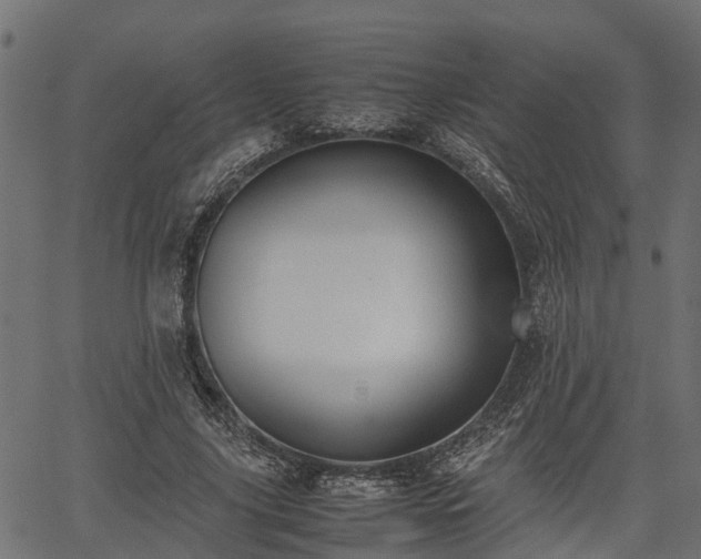 X0000066980635200603311525