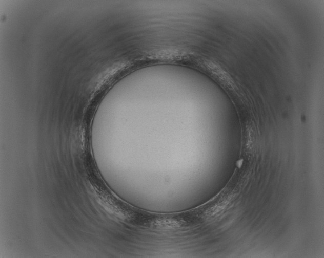 X0000066980636200603311525