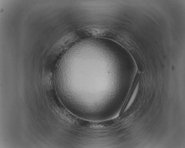 X0000066980650200603311525