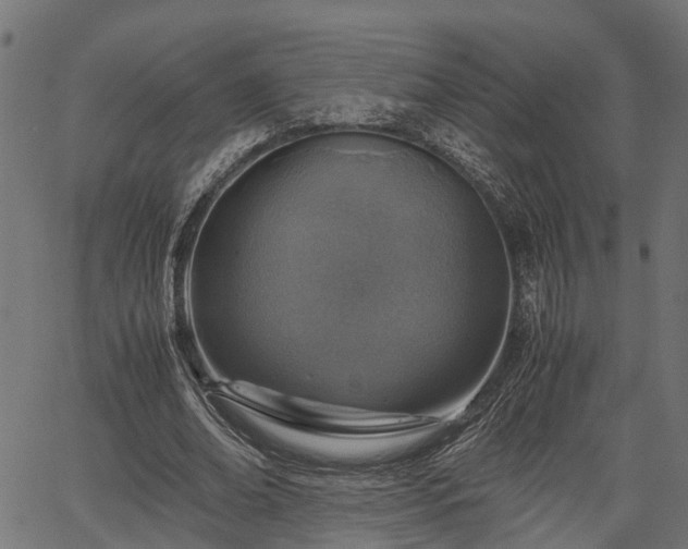 X0000066980678200603311525