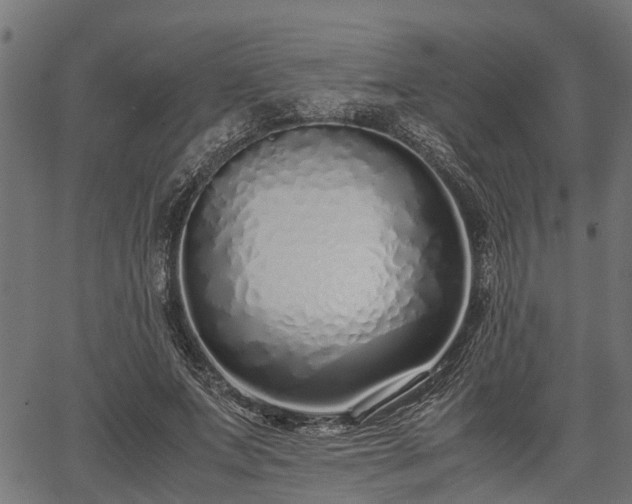 X0000066980687200603311525