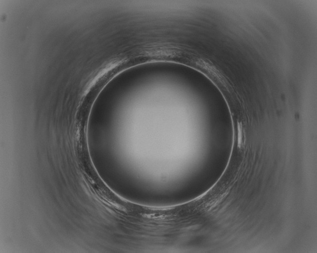X0000066980723200603311523