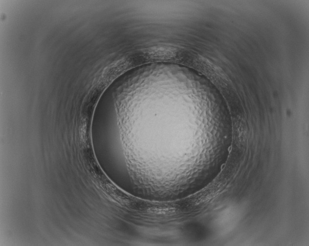 X0000066980745200603311524