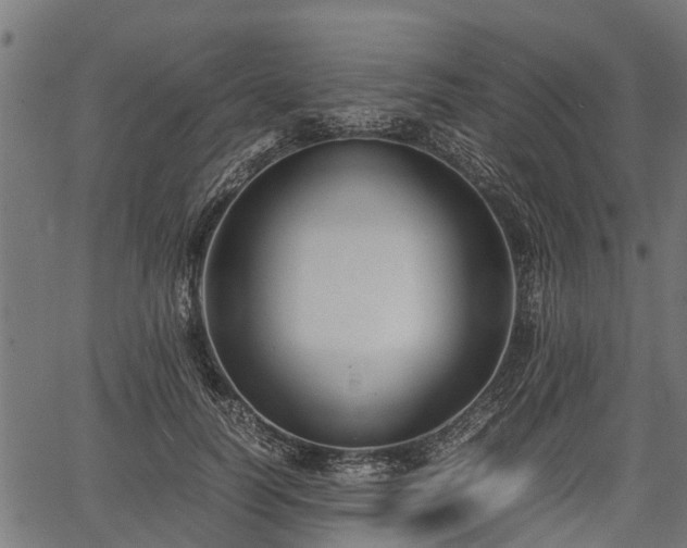 X0000066980746200603311524