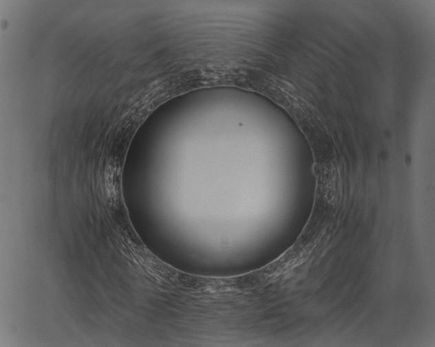 X0000066980770200603311523