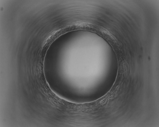 X0000066980776200603311523