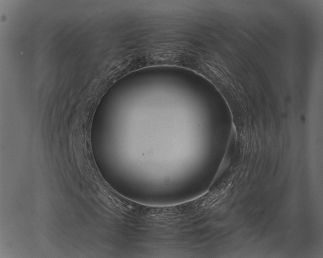 X0000066980817200603311522