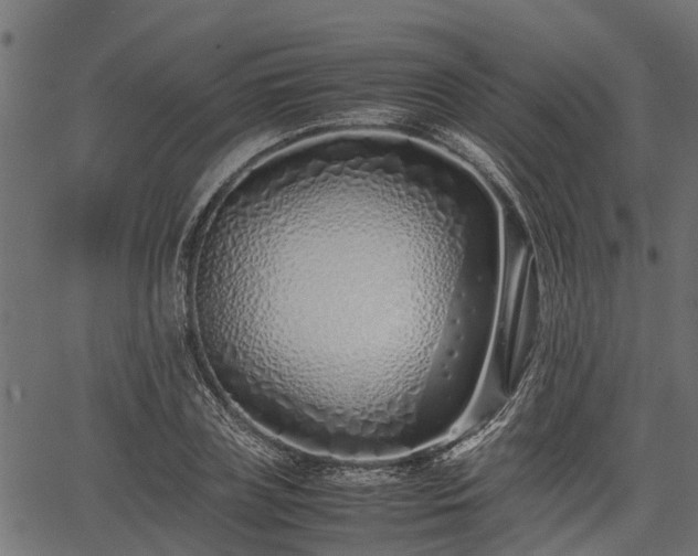 X0000066980835200603311522