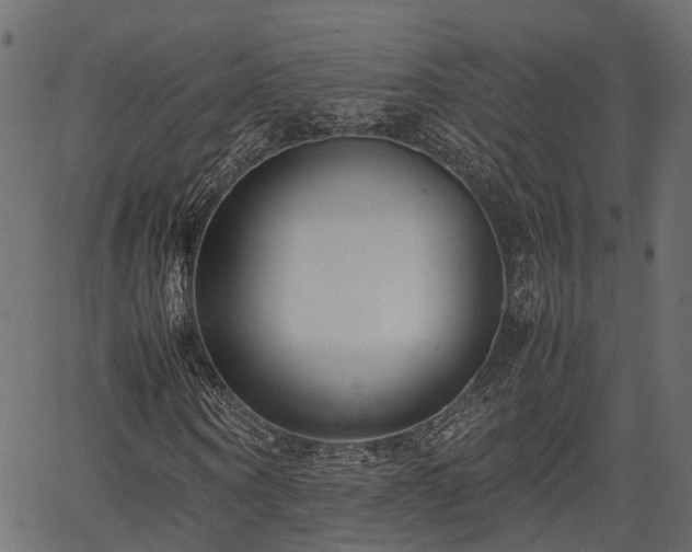 X0000066980866200603311522