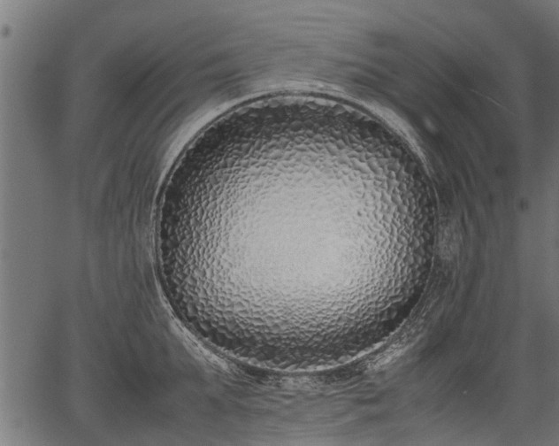 X0000066980903200603311521