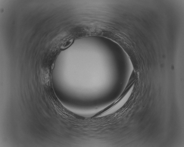X0000066980963200603311520