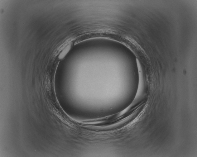 X0000066980969200603311520