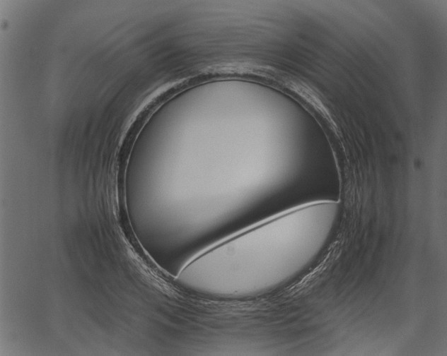 X0000066980984200603311520