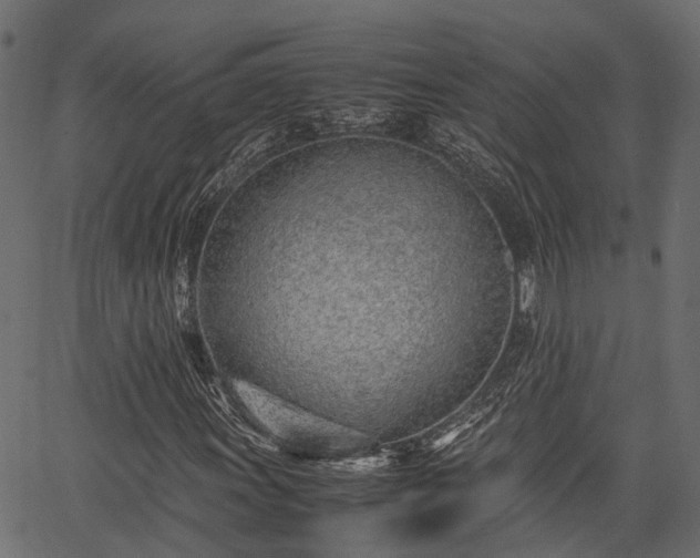 X0000066981011200603311519