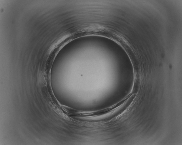 X0000066981018200603311519