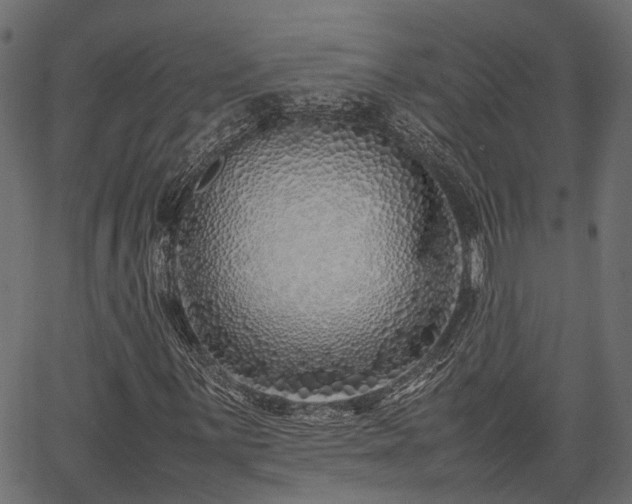 X0000066981059200603311519