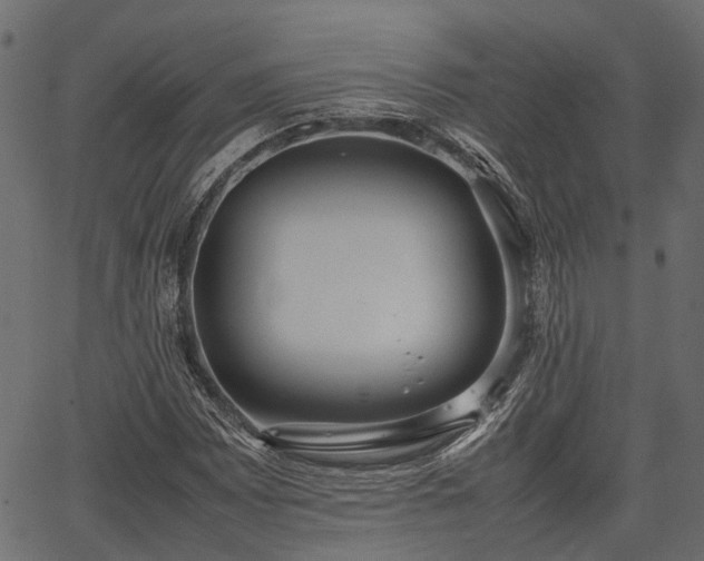 X0000066981065200603311519