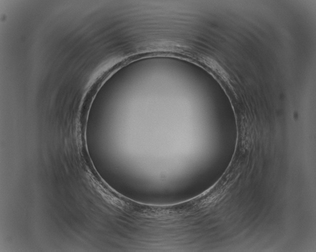 X0000066981072200603311518