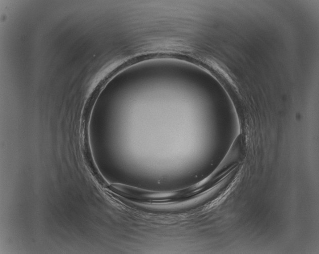 X0000066981077200603311518