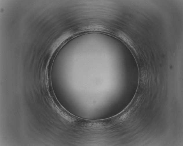 X0000066981082200603311518