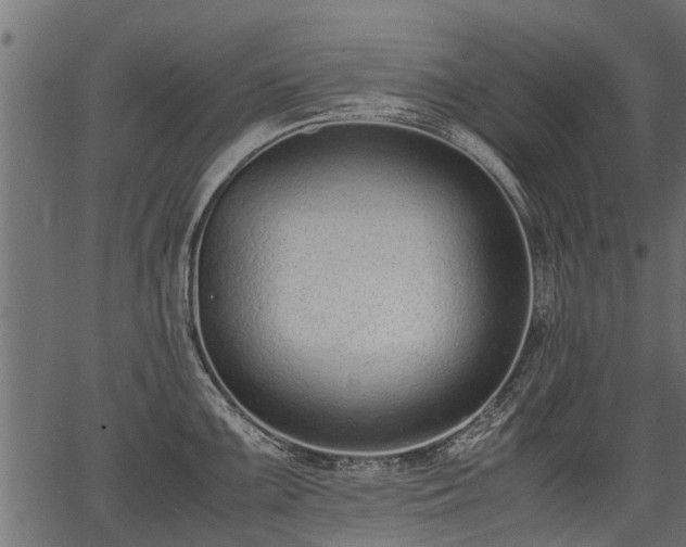 X0000066981099200603311518