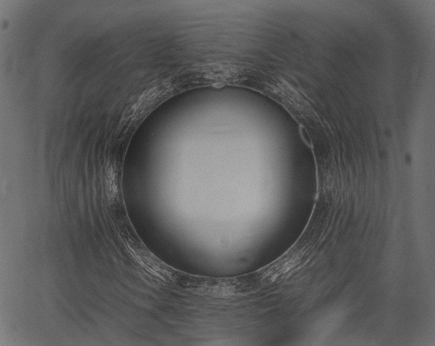 X0000066981106200603311517