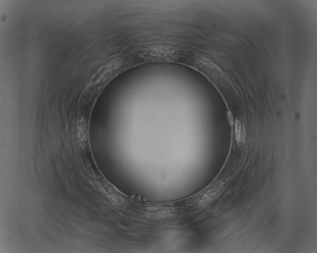 X0000066981107200603311517