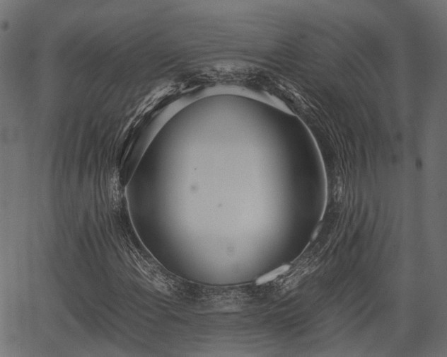 X0000066981108200603311517